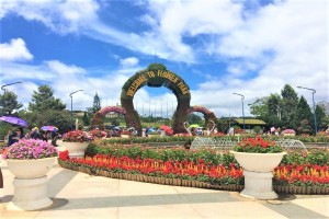 Dalat Flower Garden